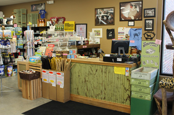 retail-store1