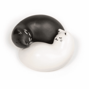 Kikkerland Purrfect Cat Salt & Pepper Shakers