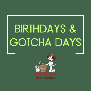 Birthdays & Gotcha Days