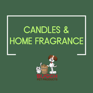 Candles & Home Fragrance