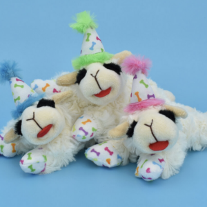 MultiPet Lamb Chop Birthday Hat 10.5"