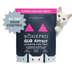 Boxiecat BoxiePro Glo Clumping Clay Cat Litter