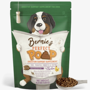Bernie's Perfect Poop