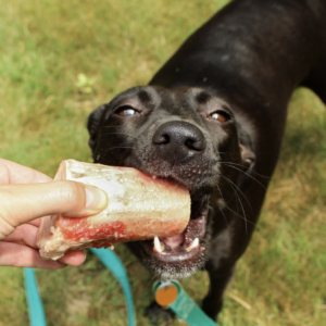 Oma's Pride Frozen Beef Marrow Bones