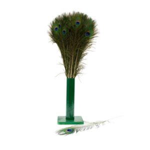 Natural Peacock Feathers