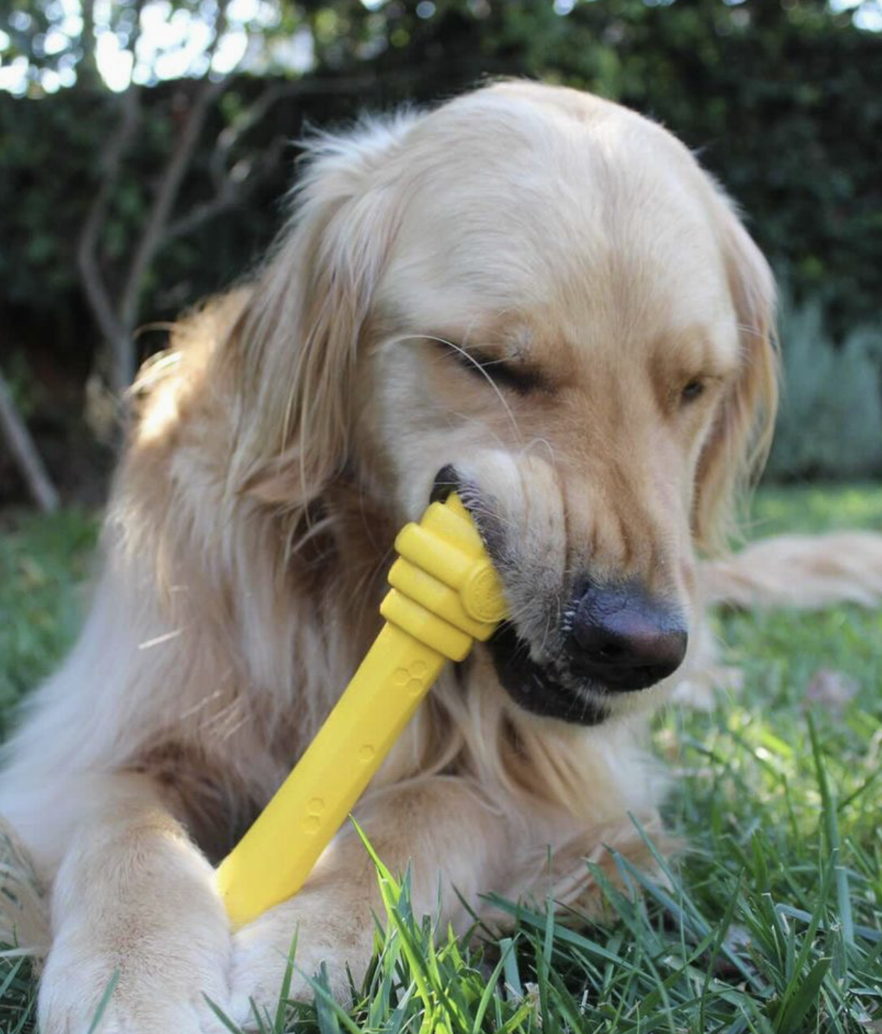Project Hive Chew Stick - Image 2