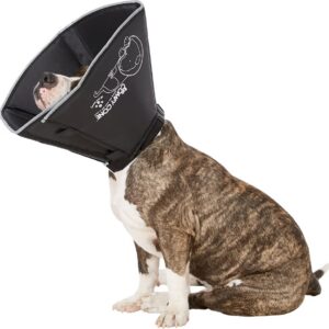 The Comfy Cone Soft E-collar for Pets