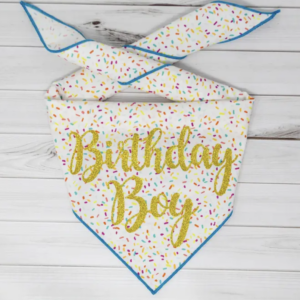 Paisley Paw Birthday Bandana