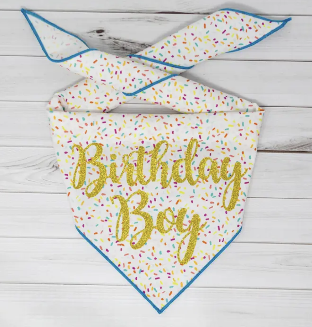 Paisley Paw Birthday Bandana