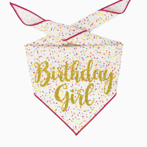 Paisley Paw Birthday Bandana