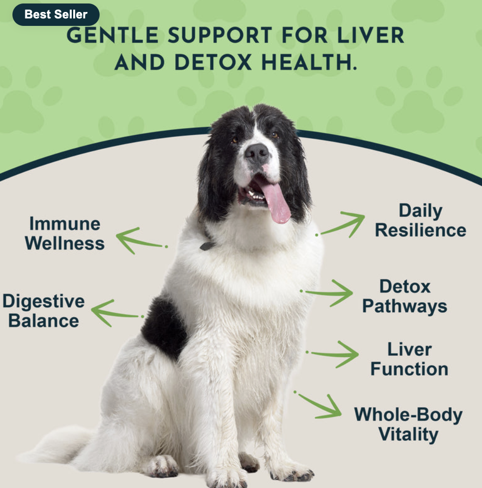 Animal Essentials Milk Thistle Herbal Tonic for dog & cats - Image 2