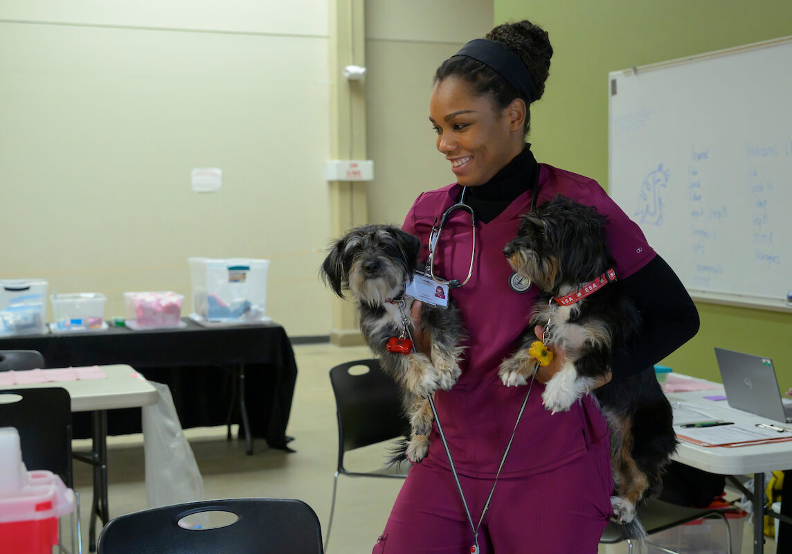 During the Healthy People Healthy Pets clinic on Thursday, April 2, 2026, in Spokane. The clinic is operated in partnership with WSU’s  Elson S. Floyd College of Medicine and offers free human and pet health care under one roof. (College of Veterinary Medicine/Ted S. Warren)