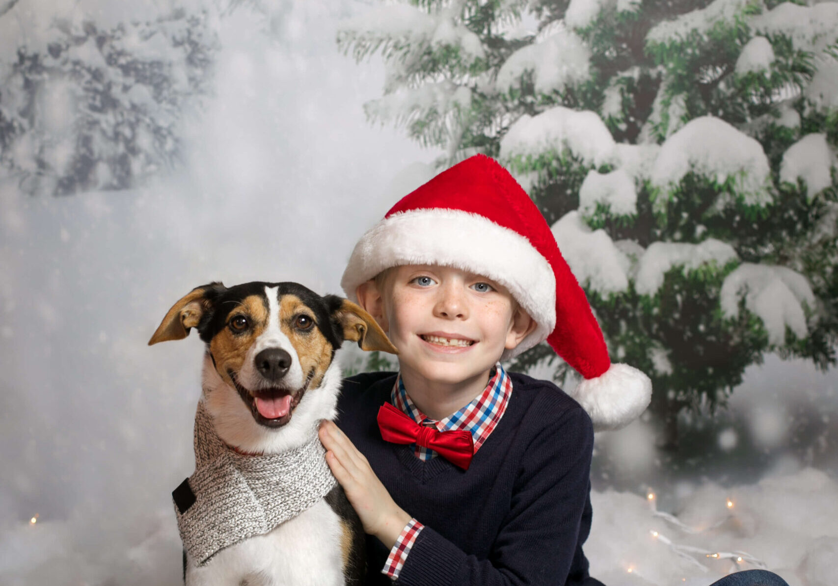 boy-with-dog-christmas-portrait