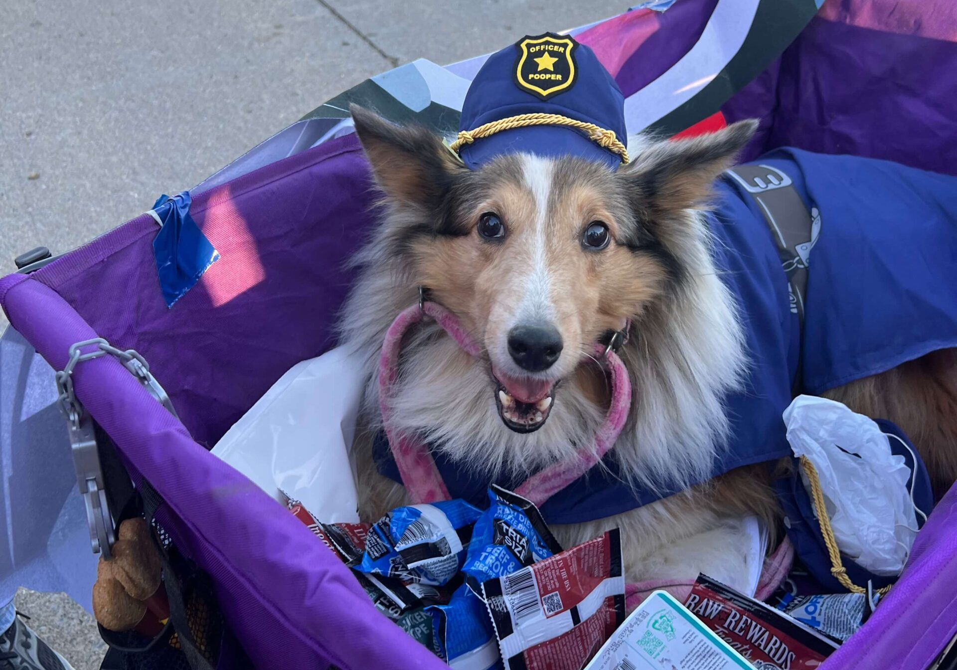 dog-officer-costume-event-cart